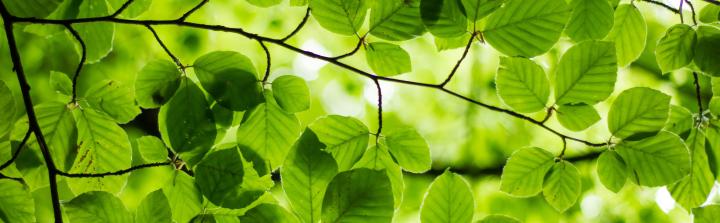 Konsumenci gotowi są na wyższe wydatki, jeśli ma to pomóc środowisku